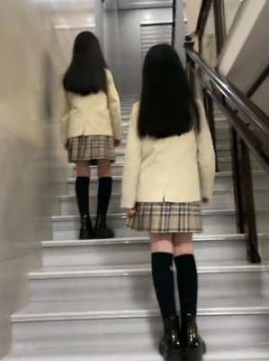 土狗老黑闯祸了读后感锦集