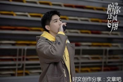 《陪你逐风飞翔》观后感精选