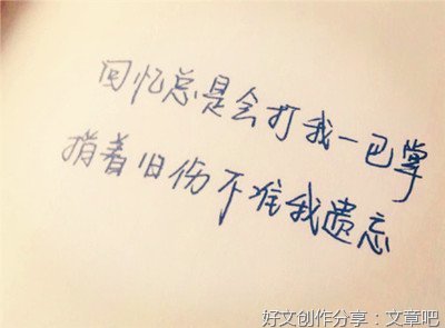 《其他》的句子