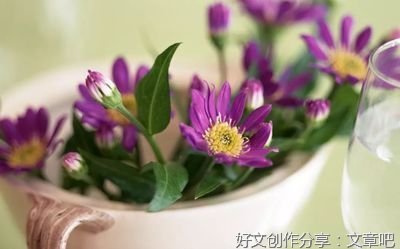 关于一生所爱的优美句子
