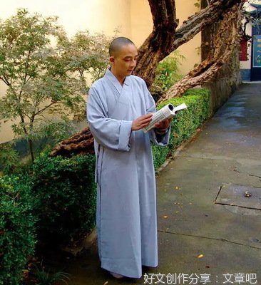 晓落花优美的句子