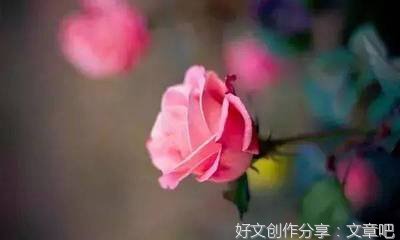 《不是所有的相念都有结果》的句子