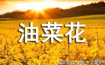 1的优美句子
