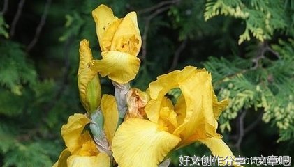 直击心灵句子大全