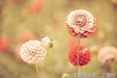 感悟名句欣赏