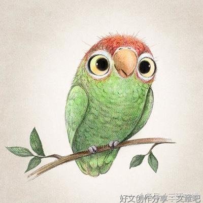 《宽容能赢得真心》的句子