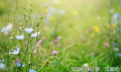 关于瞳的优美句子