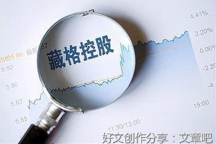 藏格当要密码的优美句子