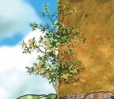 橘子宸名言大全