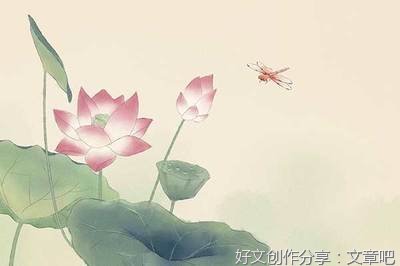 无辜的人读后感精选
