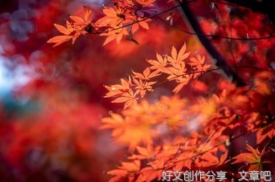道数于然不发繁华经典名句