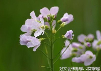有关哲理的句子