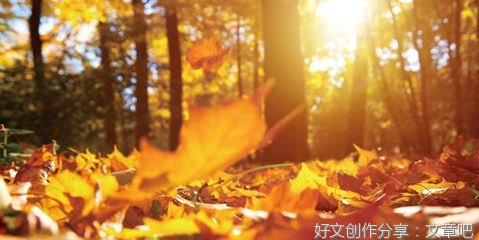 关于某个时刻的心底的优美句子
