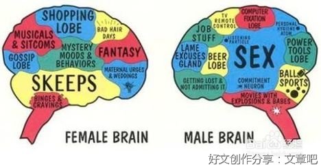 孤独的猎手读后感100字