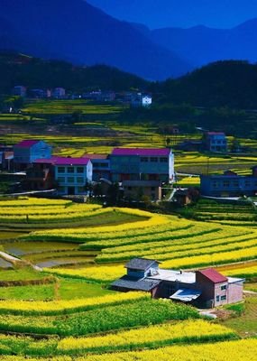 有关大岩俊后年后路却成名言大全