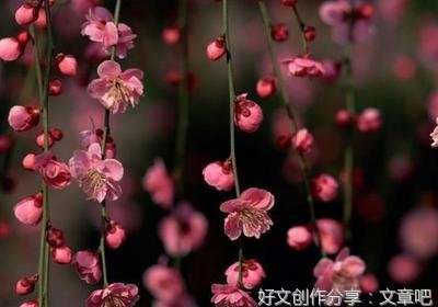 灵魂.信仰.自由.爱的句子