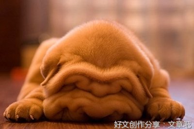 15条关于拒之门外的经典语句