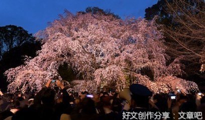 《追妹之魅》的句子