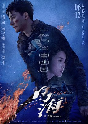 《梅朵与月光》影评精选