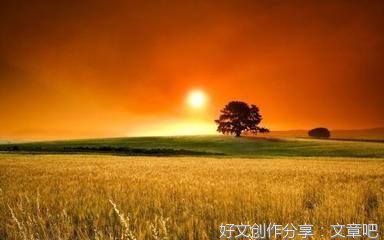 亲情友情爱情的优美句子