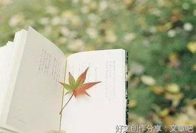 死月是你的谎言的优美句子