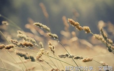 素黑经典语录