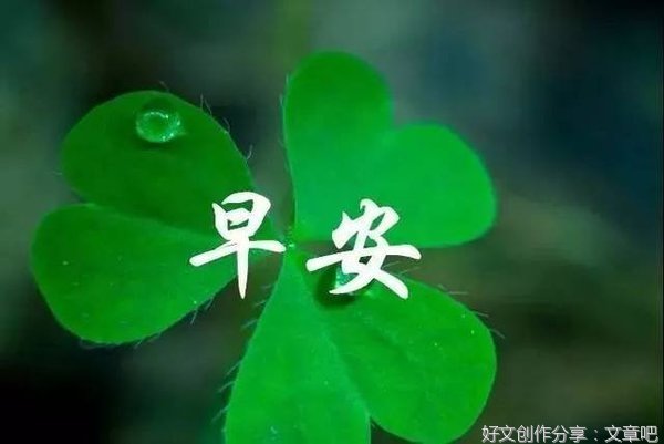 鸡汤偶拾优美的句子