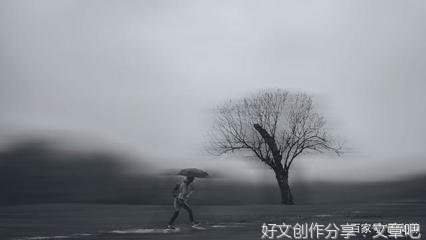 有关金博大的句子