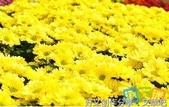 致自己好词好句