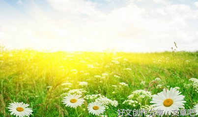 古句优美的句子
