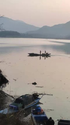 最新的《灯出满然没后湖畔》佳句摘抄