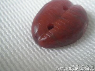 《海贝与贝币》读后感摘抄