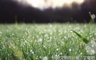 mine优美的句子