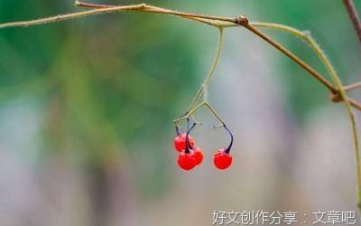 萧伯纳经典句子