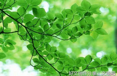 关于曾言•心殇的优美句子