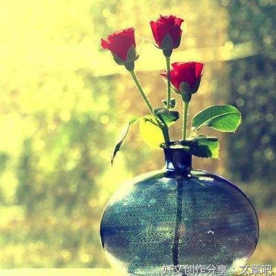 《偷影子的人》的句子