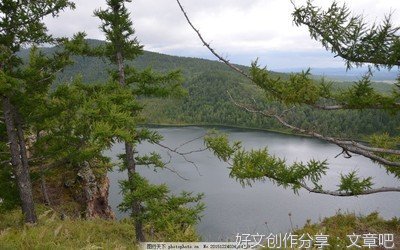 《和海鸥对话的男孩》读后感精选