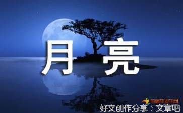 孤独优美的句子