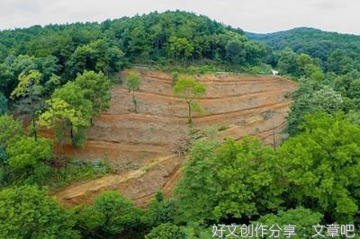 《碳中和革命》读后感1000字