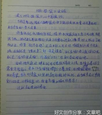 陈年烈狗读后感摘抄
