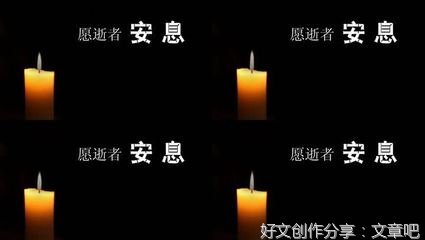 再见，安息岛读后感精选