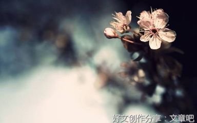 music for heart好词好句