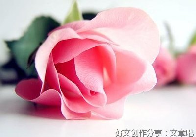 有关故事的句子