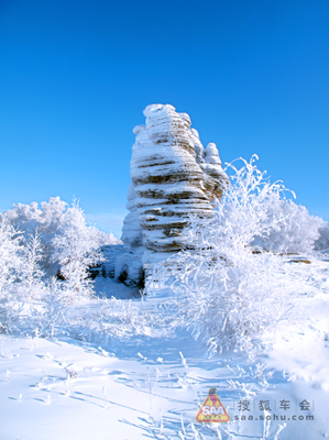 《滑滑溜溜的冰雪运动》读后感锦集