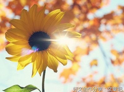 《暖暖的》的句子
