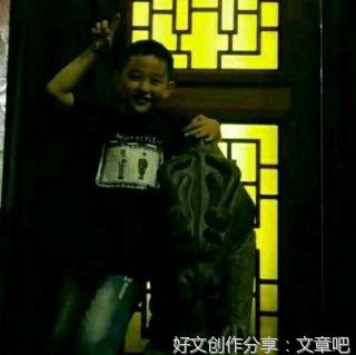 荔枝好词好句