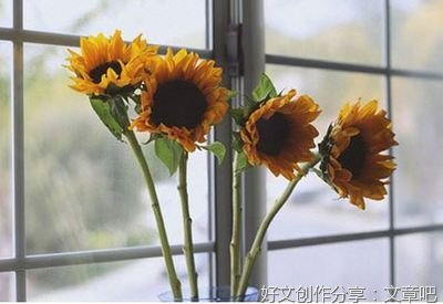有关励志的句子