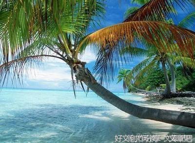 最新的《安珀九方子》名句欣赏