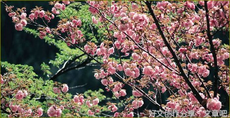 职场人生的优美句子
