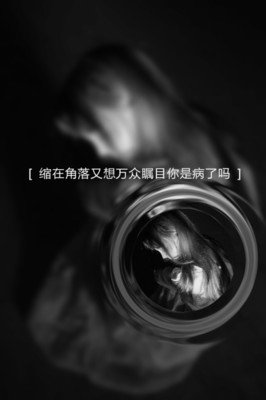 有关毒汤日记的句子